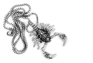 Akrep kolye ve kolye - paslanmaz çelik