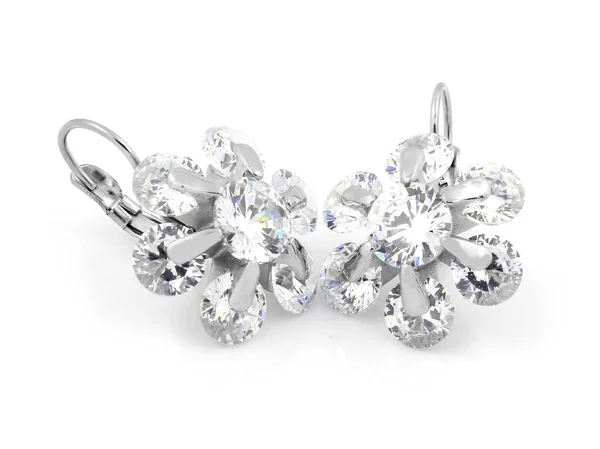 Ladies' Jewelry Earrings - Stainless Steel — Stock Photo, Image