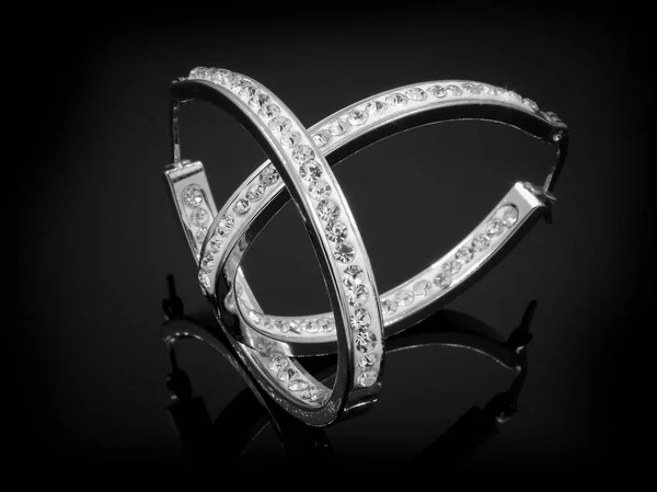 Ladies' Jewelry Earrings - Stainless Steel — Stock Photo, Image