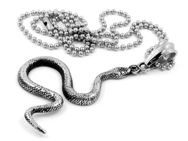 Κοσμήματα - φίδι - κρεμαστό από ανοξείδωτο χάλυβα — Φωτογραφία Αρχείου