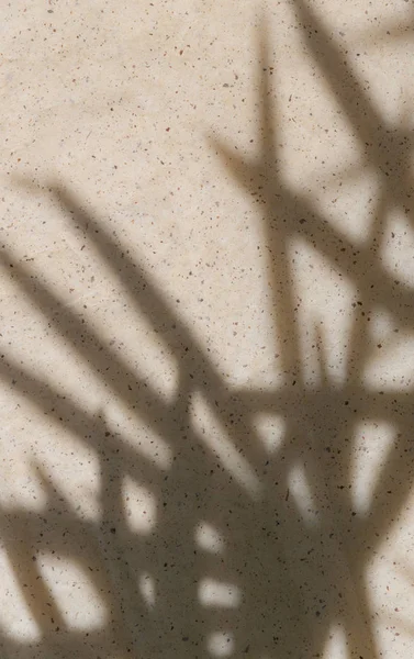 Abstrakter Hintergrund mit Palmblattschatten auf beige — Stockfoto