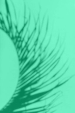 Tropikal gölgeler, turkuaz arkaplanda kopyalama alanı bırakır