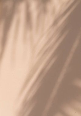 Soluk pastel bej arka planda egzotik tropikal palmiye dalları