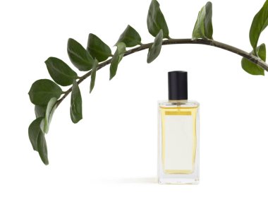 Parfüm şişesiyle güzel bir kompozisyon ve beyaz arka planda izole dallar. Asgari biçim çiçek parfüm şablonu