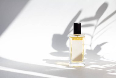 Beyaz arka planda, güneş ışığı ve yaprak gölgeli bir şişe esans parfümü. Asgari biçim parfüm şablonu