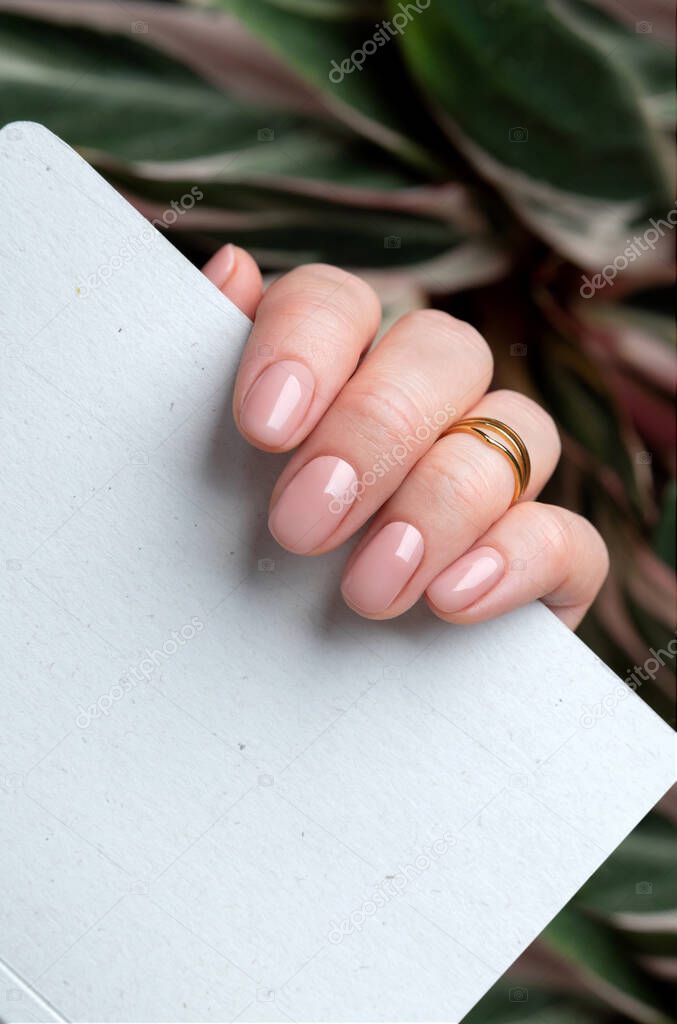 Womans hands with nude beige pink nail design holding notepad. Manicure, fashion and beauty salon concept
