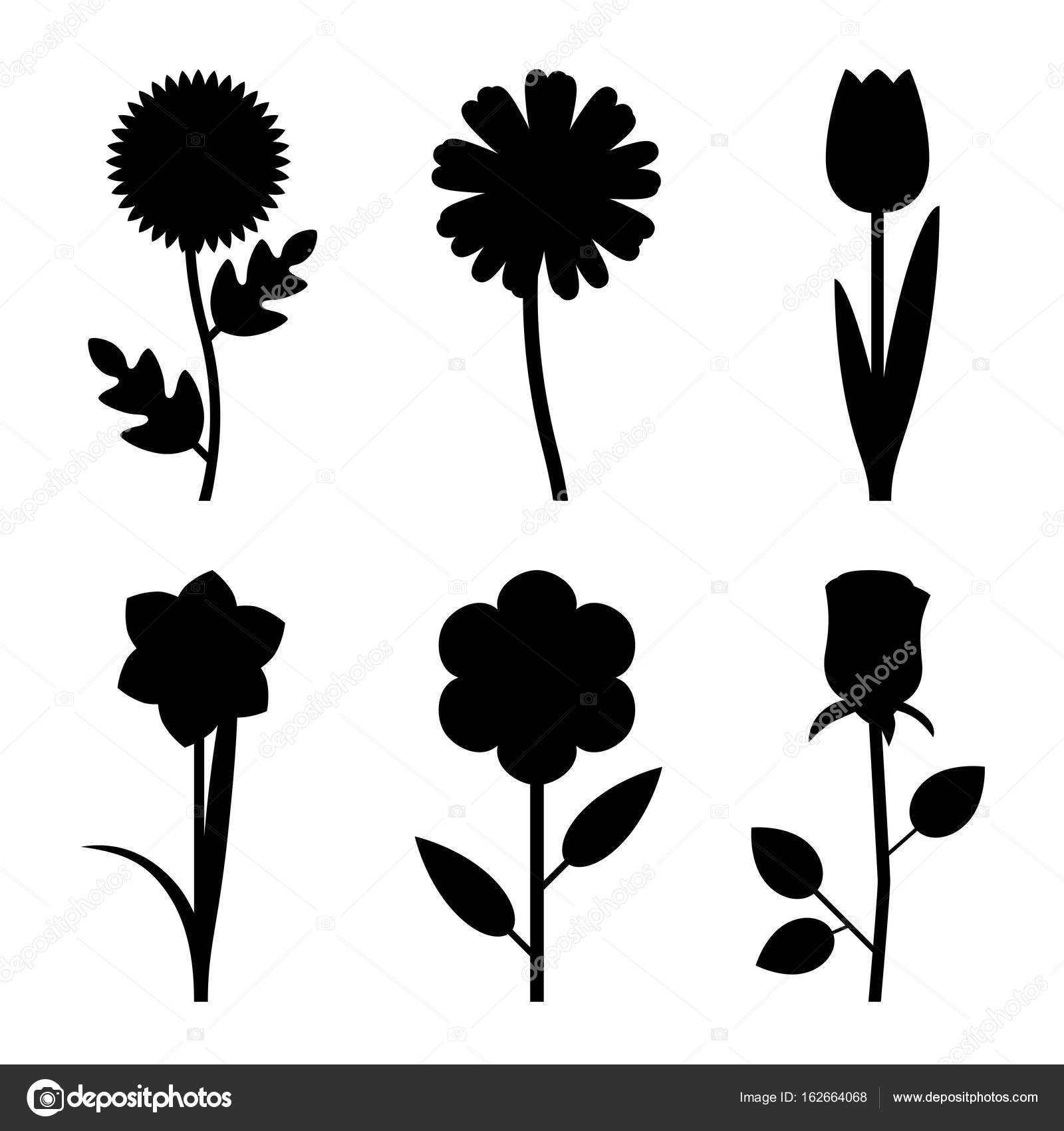 Flowers Black Silhouettes Stock Vector Image By C Bolotoff
