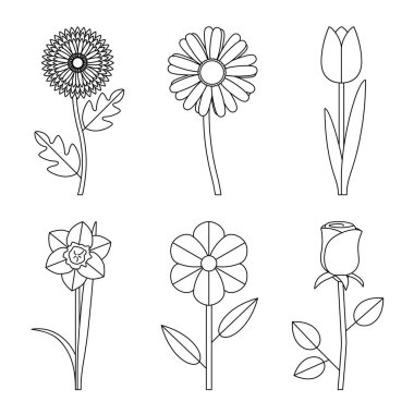 Çiçekler çizimler