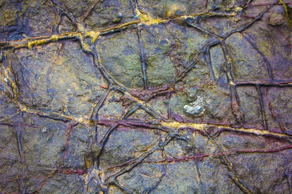 Geological Lines in Beach Stone — Stock Photo, Image