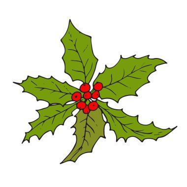 Christmas kırmızı meyve. Kroki. 