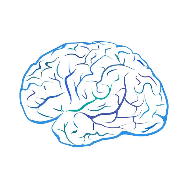 Blue outline brain mark. — Stock Vector