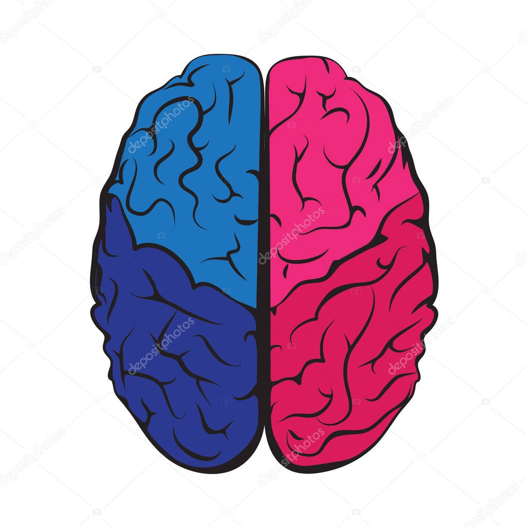 Colorful outline brain mark. 