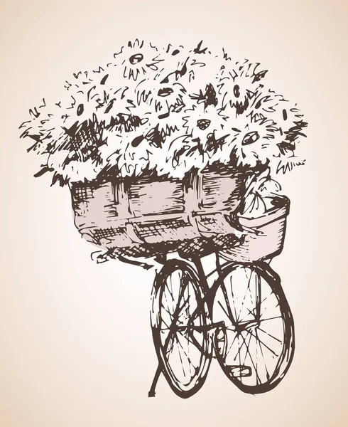 Bicicletta con mazzo di fiori. Schizzo. Isolato su dorso biancogr — Vettoriale Stock