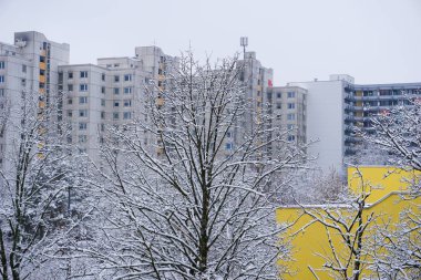 Çok kar ağaç arka plan, birçok büyük binalar. 