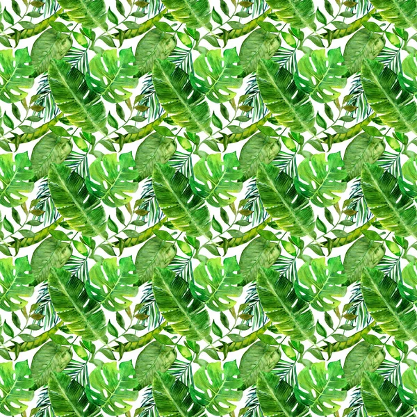 Tropikalny bezszwowy wzór z różnymi zielonymi liśćmi. — Zdjęcie stockowe