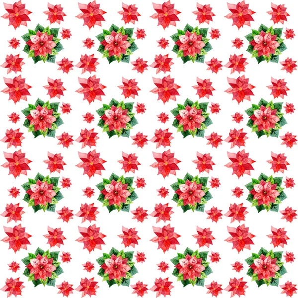 Akvarell handritade blad med röda vinterblommor julstjärna. — Stockfoto