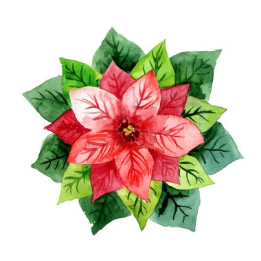 Kış suluboya eli kırmızı çiçekleri noktaladı. 