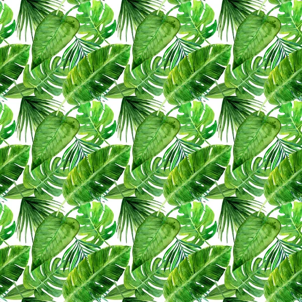 Tropiskt sömlöst mönster med olika gröna blad. — Stockfoto