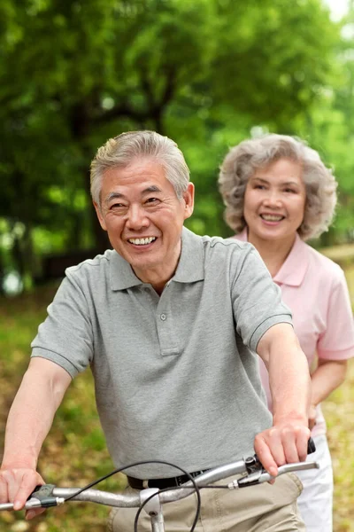 senior couple riding bicycles in park