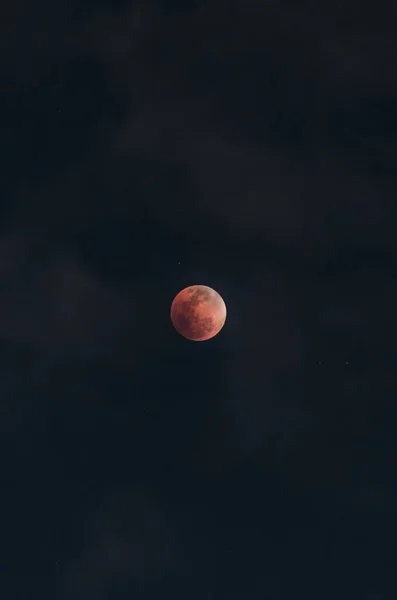 Bulan Langit Malam — Stok Foto