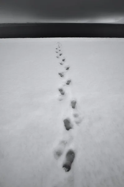 footprints on the snow in the winter