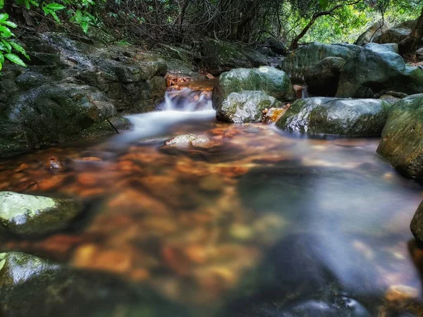 Beautiful Waterfall Forest — Stock Photo, Image