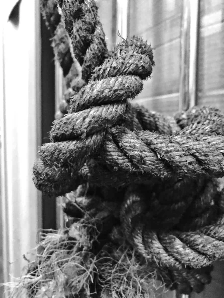 rope tied with ropes on the background of the sea