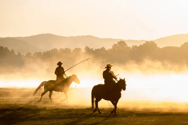 Horse Riding Field Sunset — Stock Photo, Image