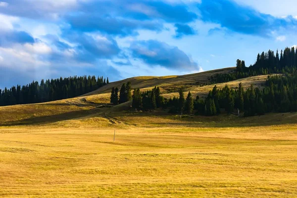 Bela Paisagem Com Uma Cordilheira Fundo — Fotografia de Stock