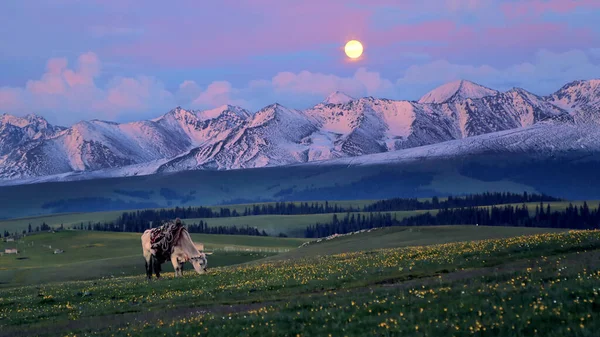 Beautiful Landscape Mountain Range Mountains — Stock Photo, Image