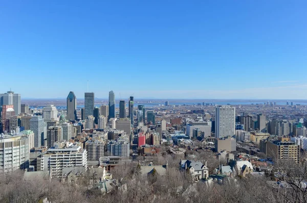 Montréal Skyline Kondiaronk Belvedere Mont Royal Inverno — Foto Stock