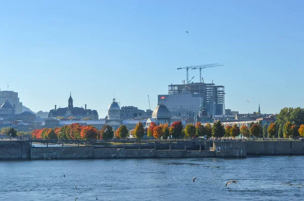 Montreal Downtown Skyline Quebec Kanada — Stockfoto