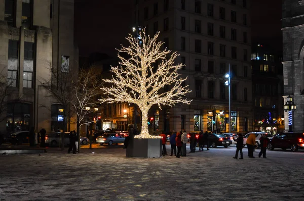 Монреаль Канада Січня 2017 Невелике Дерево Оточенні Декоративним Світлом Різдво — стокове фото