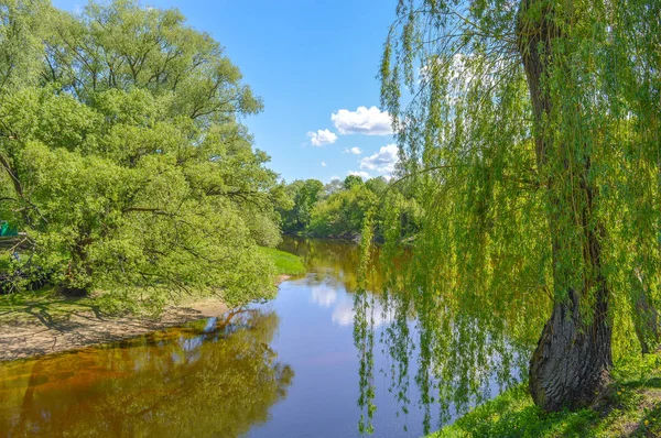 Rivier Spring Bos Canada Samenstelling Van Natuur — Stockfoto