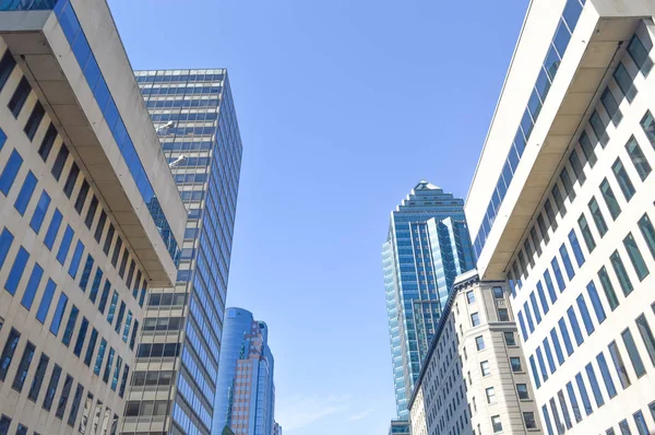 Edifici Condominiali Nel Centro Montreal — Foto Stock