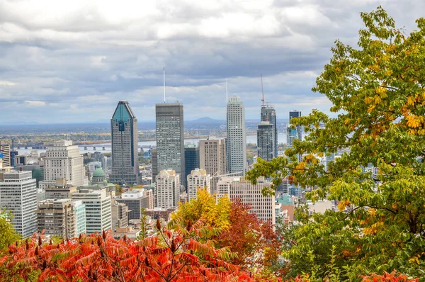 Montréal Skyline Autunno Canada — Foto Stock