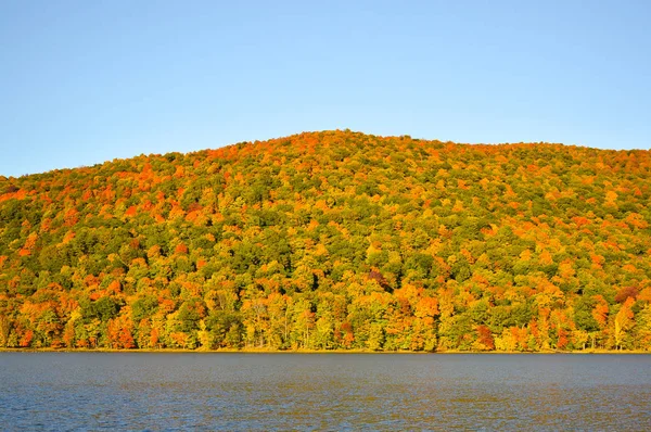 Renkli Orman Ağaçları Göl Sonbahar Sezonu Quebec Kanada — Stok fotoğraf