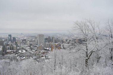 Kar, kış, Kanada Montreal manzarası