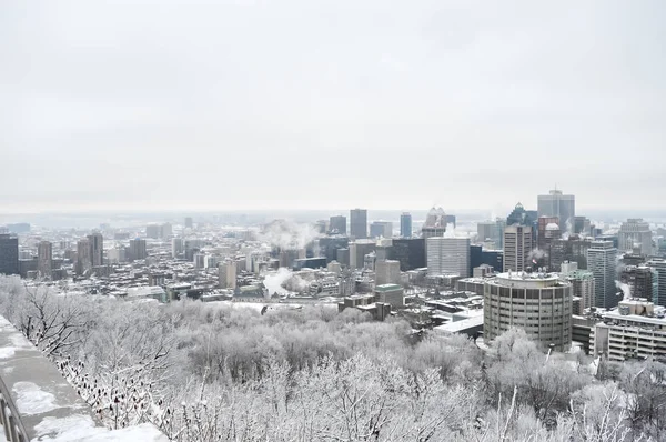 Montreal Skyline Sulla Neve Inverno Canada — Foto Stock