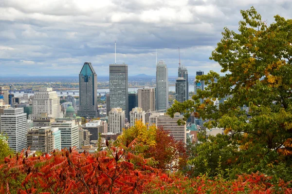 Montreal Skyline Autunno Canada — Foto Stock