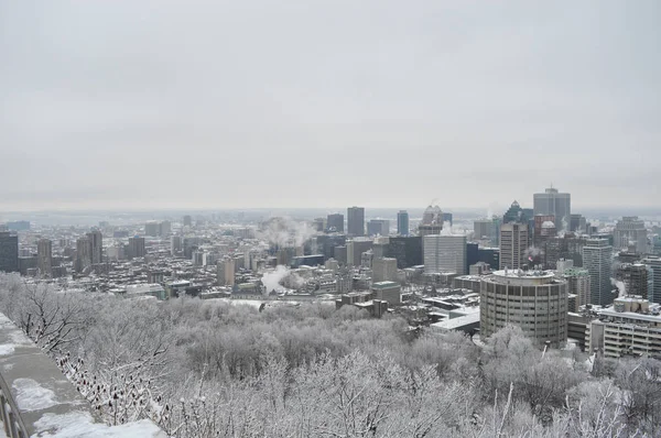 Montreal Skyline Sulla Neve Inverno Canada — Foto Stock