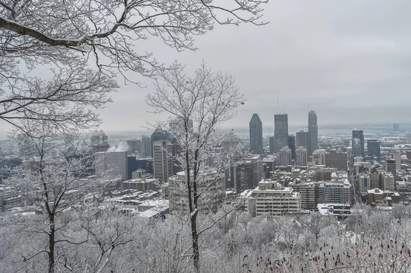 Montreal şehir merkezinde kar