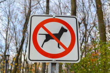 Köpek ormanda, Montreal, Kanada izin yok