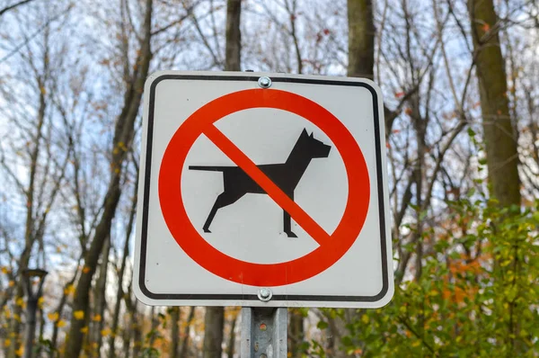 Geen Honden Toegelaten Het Bos Montreal Canada — Stockfoto
