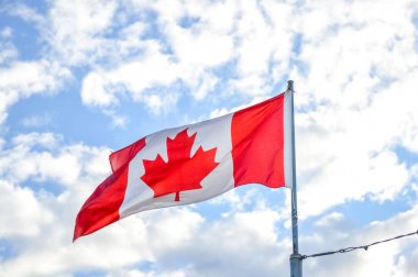 Mavi gökyüzünün altında dalgalanan bayrak Kanada