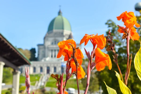 Saint Joseph Oratorium Van Mount Royal Ligt Montreal Canada Grootste — Stockfoto