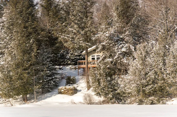 Appartamento Vacanze Inverno Cottage Legno Nel Bosco Sul Lago Quebec — Foto Stock