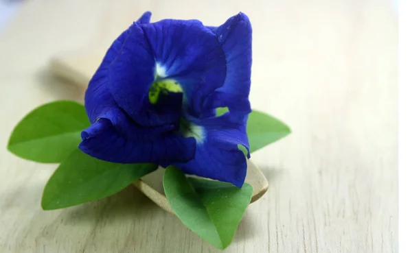 Beyaz arka plan üzerinde Kelebek bezelye çiçekler