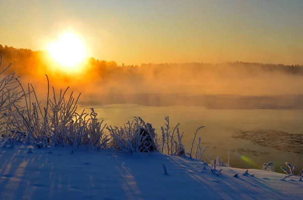 winter sun landscape