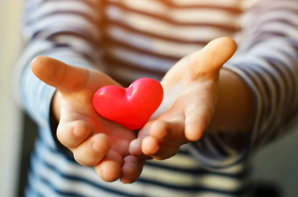 Heart in child 's hands — стоковое фото